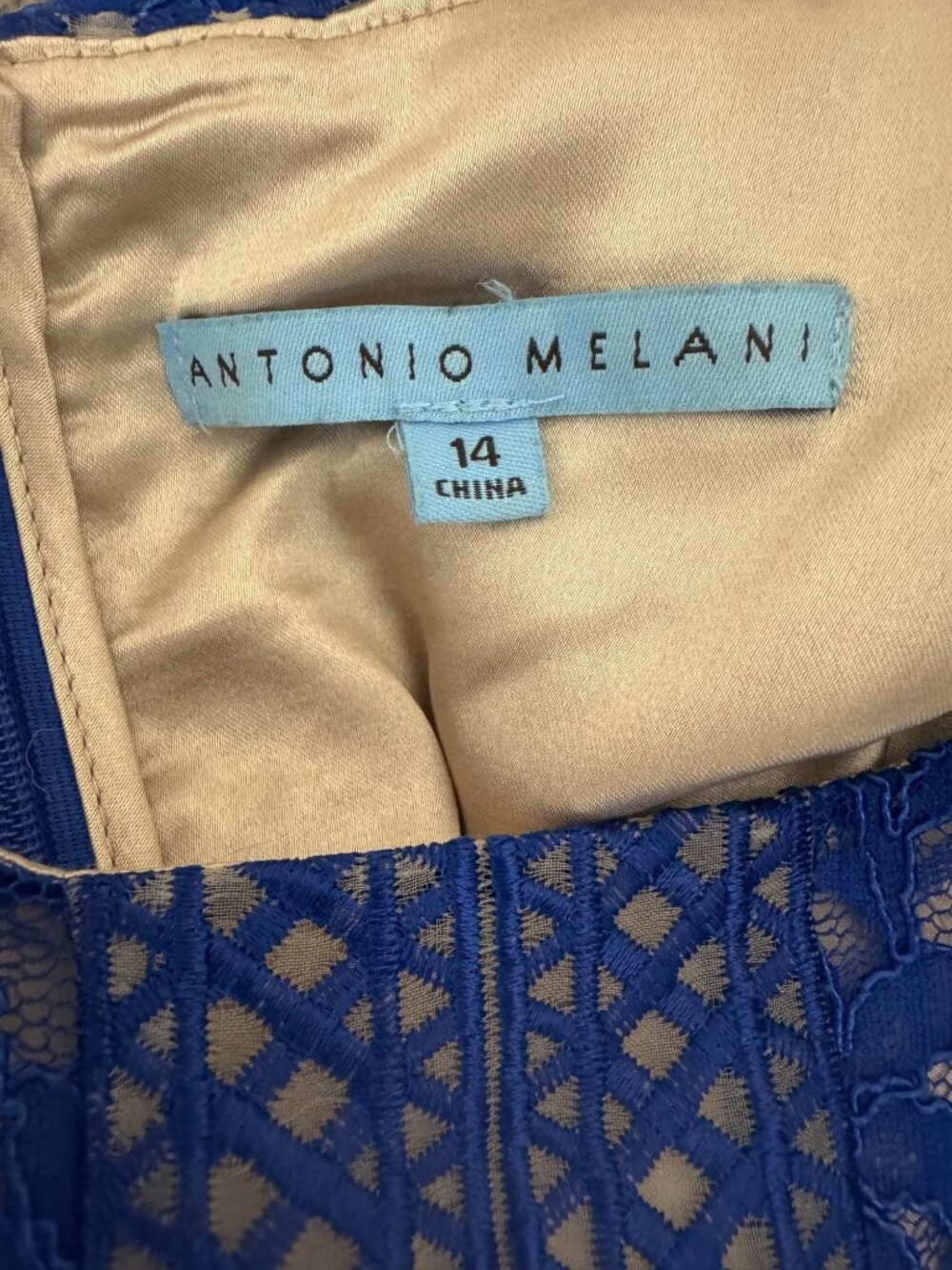 Antonio Melani Blue Lace Sheath Dress Nude Lining Scalloped Size 14 Wedding - Picture 6 of 9